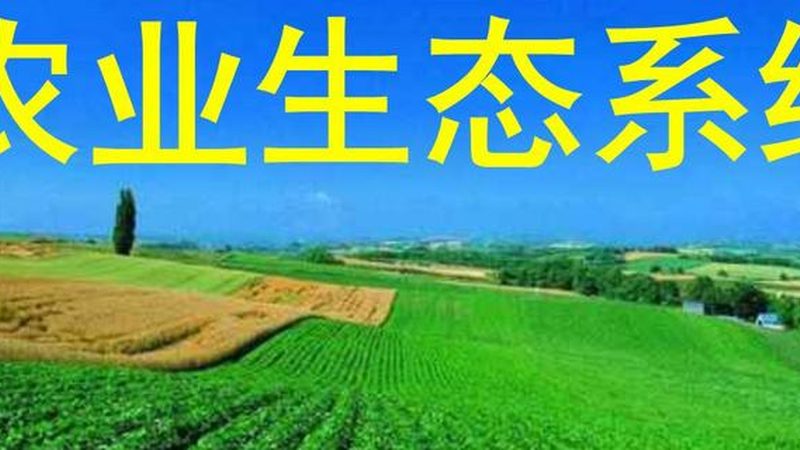 小型农业项目投资，如何精准预算？**