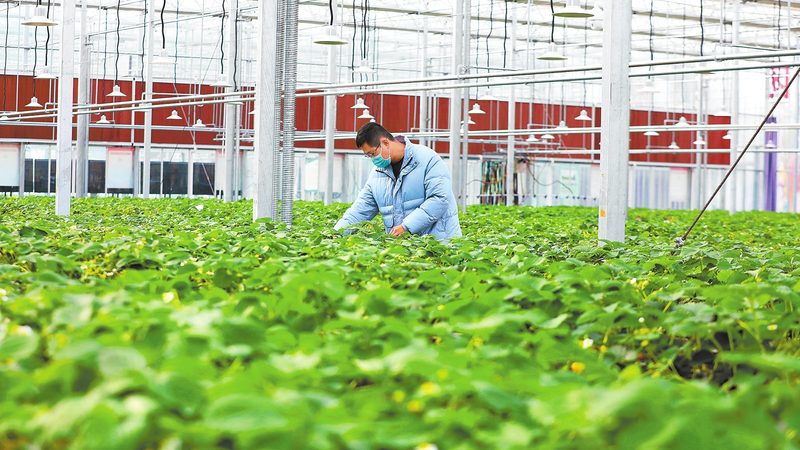 山地丘陵植保无人机：如何选择最适合的利器