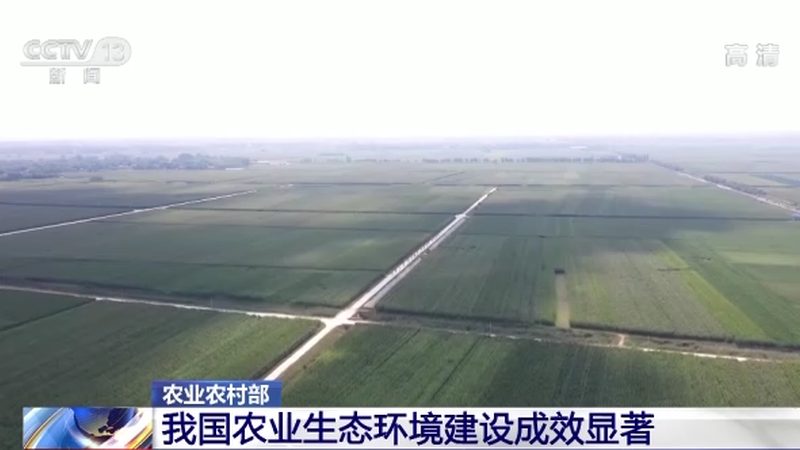 小型有机种植项目如何选择：关键要素与误区解析