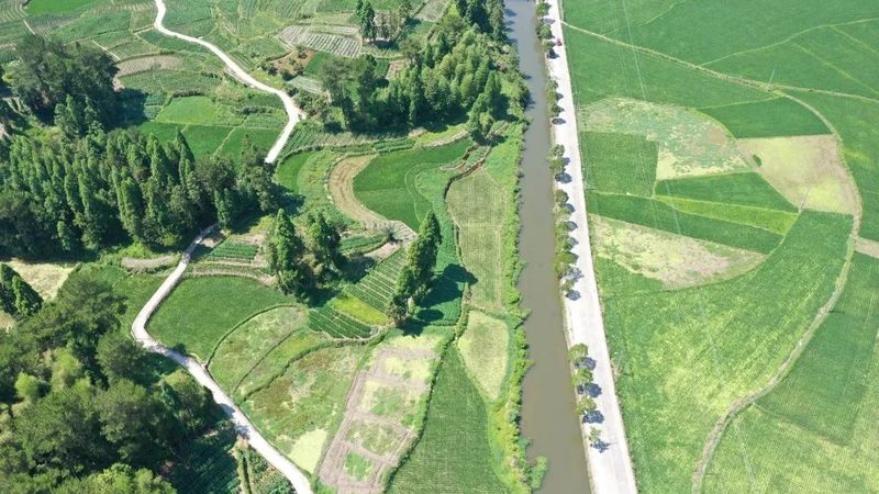 设施农业物联网，智慧农业的未来之路
