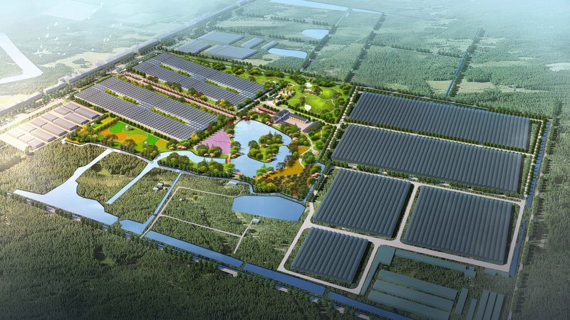 玻璃温室工程公司怎么挑才不踩坑