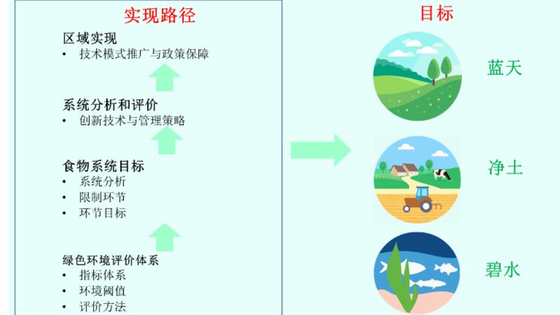 有机蔬菜什么季节吃最好
