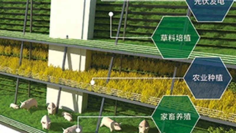 果蔬配送公司资质要求，远不止一张营业执照
