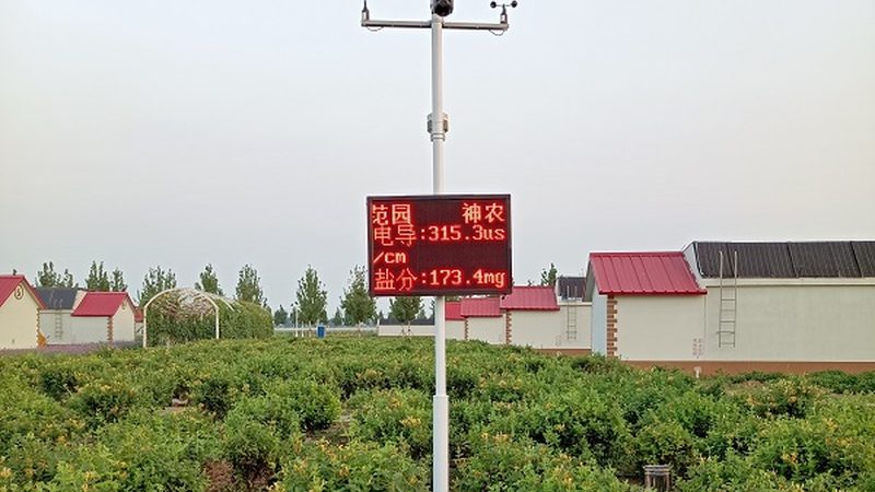 绿色食品代理：从源头把控，确保食品安全