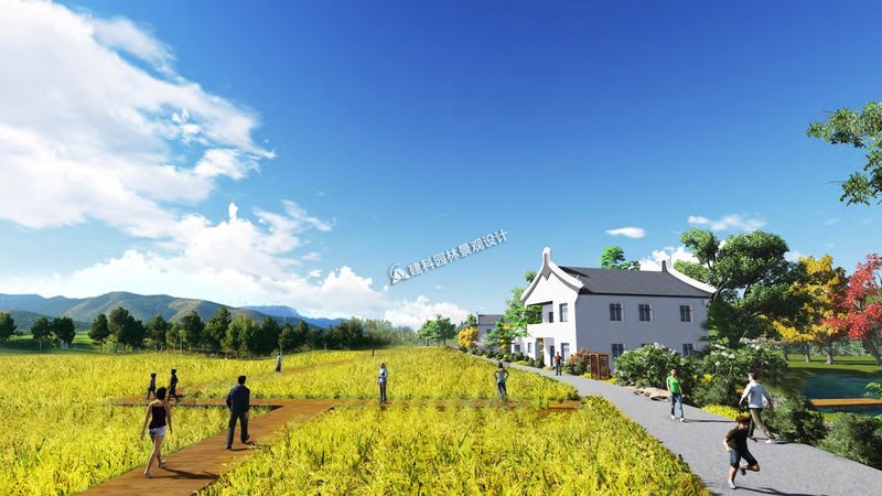 大棚种植成本解析：一亩多少钱的真相**