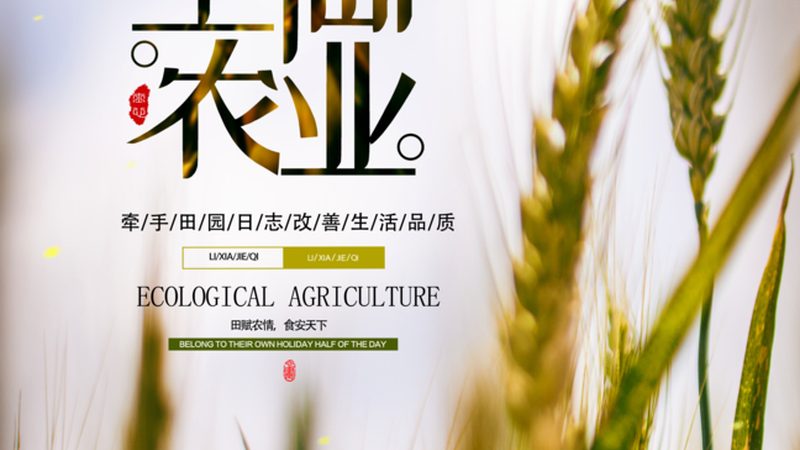 生态农场加盟，别只看品牌大小